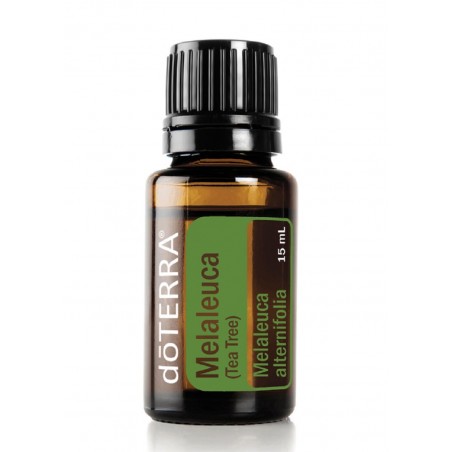 Melaleuca