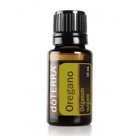 Oregano (Origanum vulgare)