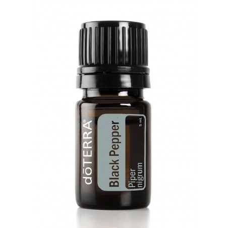 Black Pepper (Piper nigrum)