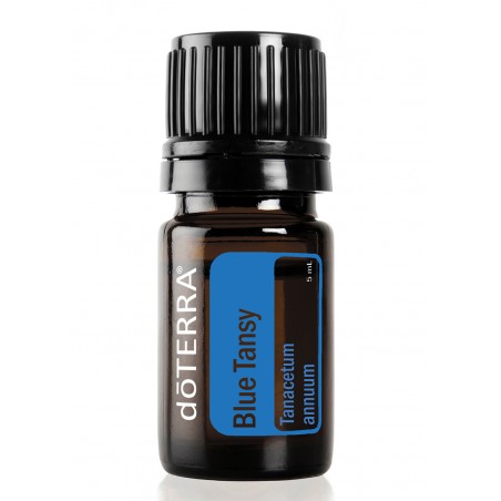 Blue Tansy ( Tansy Azul / Tanacetum Anuum)