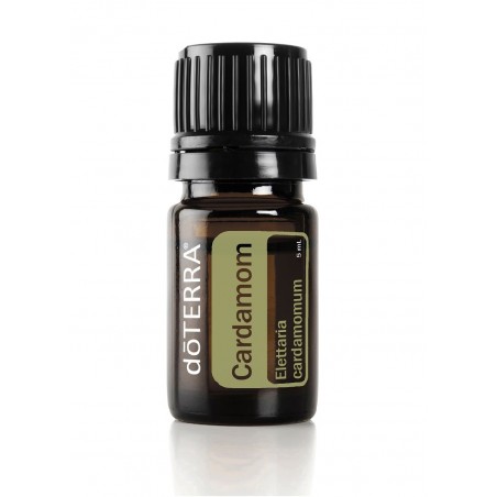 Cardamom - Elettaria cardamomum