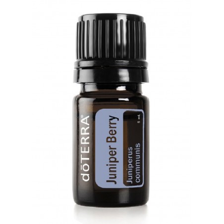 Juniper Berry