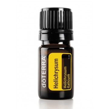 Helichrysum