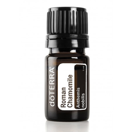 Roman Chamomile