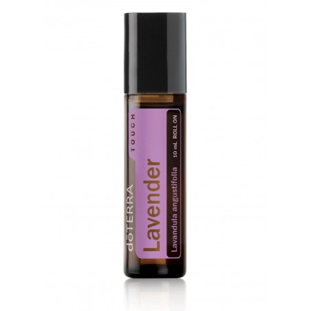 Lavanda touch ( Lavandula Angustifolia)