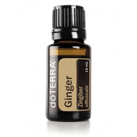 Ginger( ​Zingiber officinale)