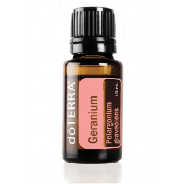 Gerânio (Pelargonium...