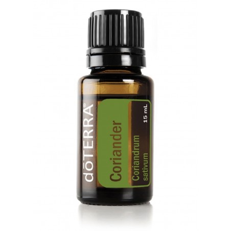 Coriander (Sementes de Coentro) Coriandrum sativum